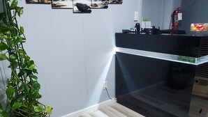 Une cuisine moderne avec un plancher en bois, une plante en pot et un comptoir noir.