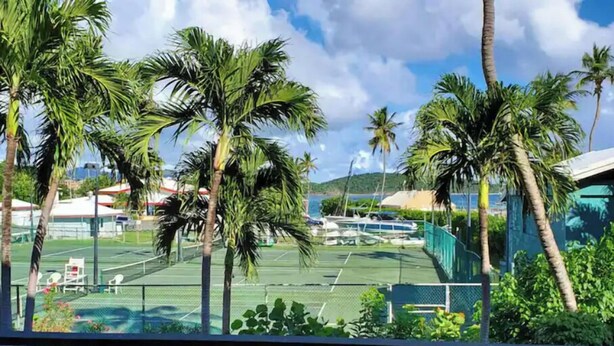 Ein Tennisplatz, umgeben von Palmen, mit Blick auf das Meer.
