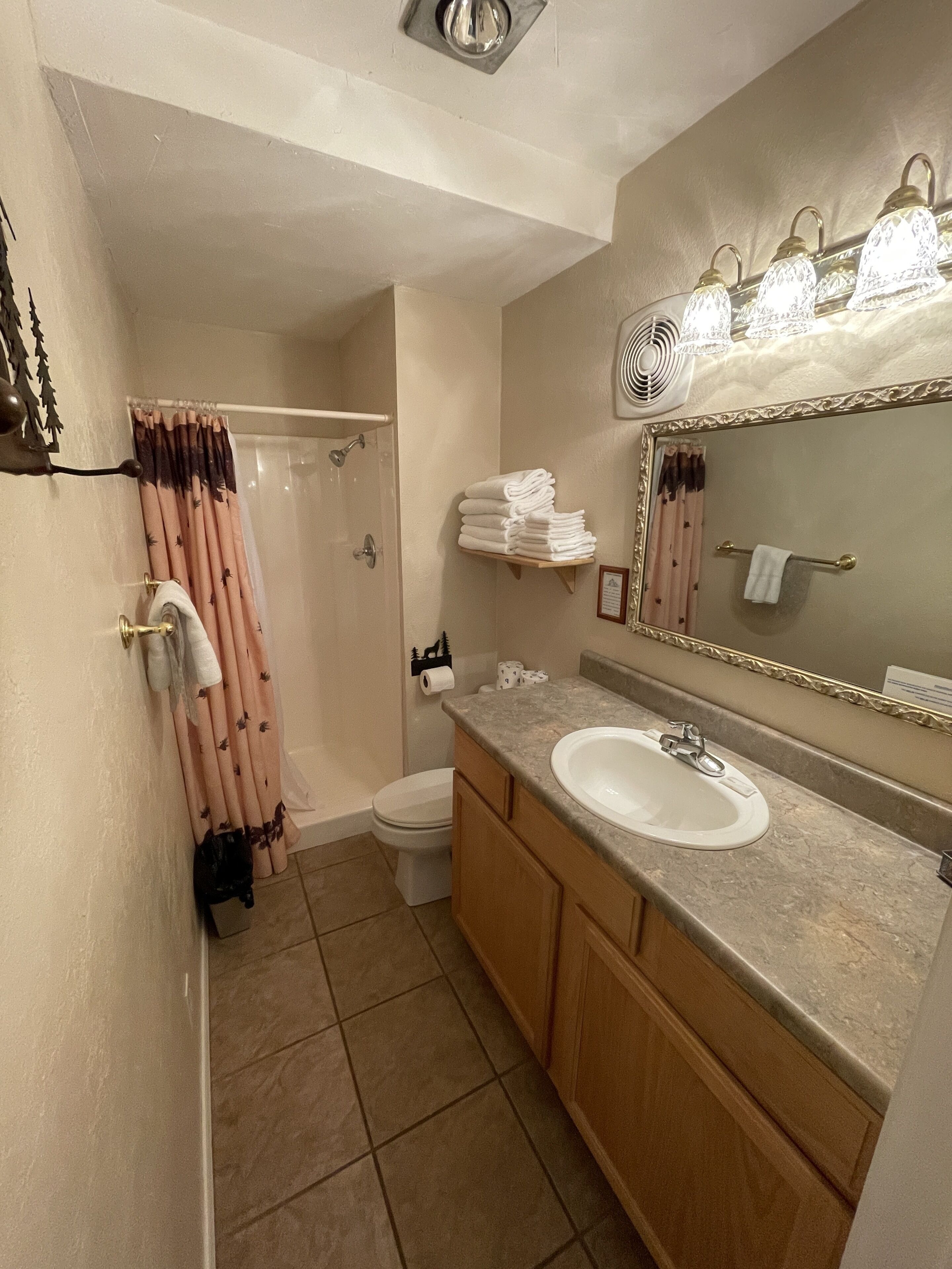 Une salle de bain équipée d’une douche, de toilettes, d’un lavabo et d’un miroir de coiffeuse.
