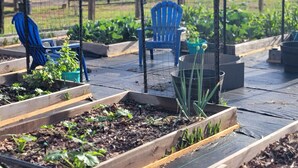 A garden with raised beds, wooden planks, and a blue chair. - Romantic Escape on Peaceful Mini Farm (Coleman)