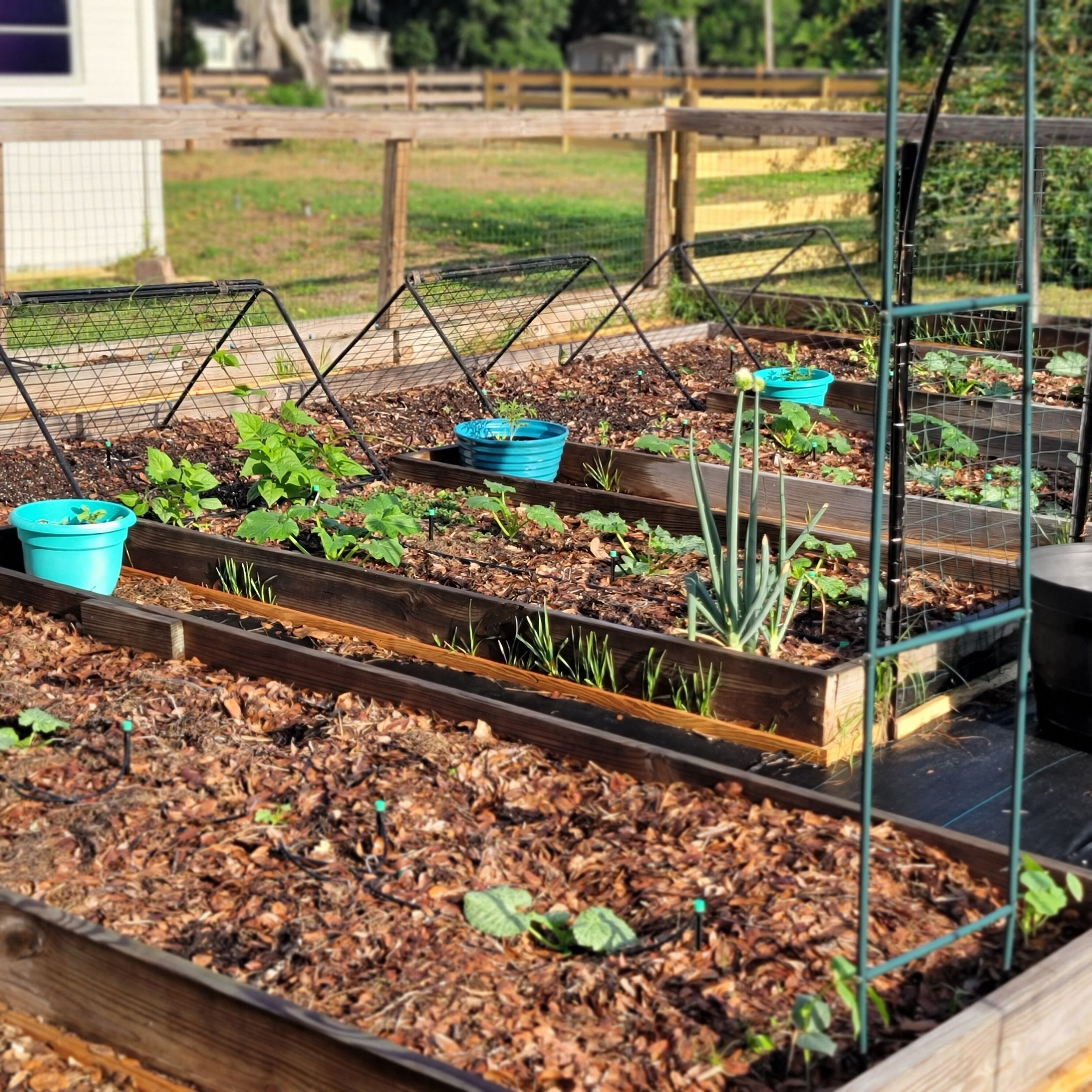 Un jardín con bancales elevados y una valla.