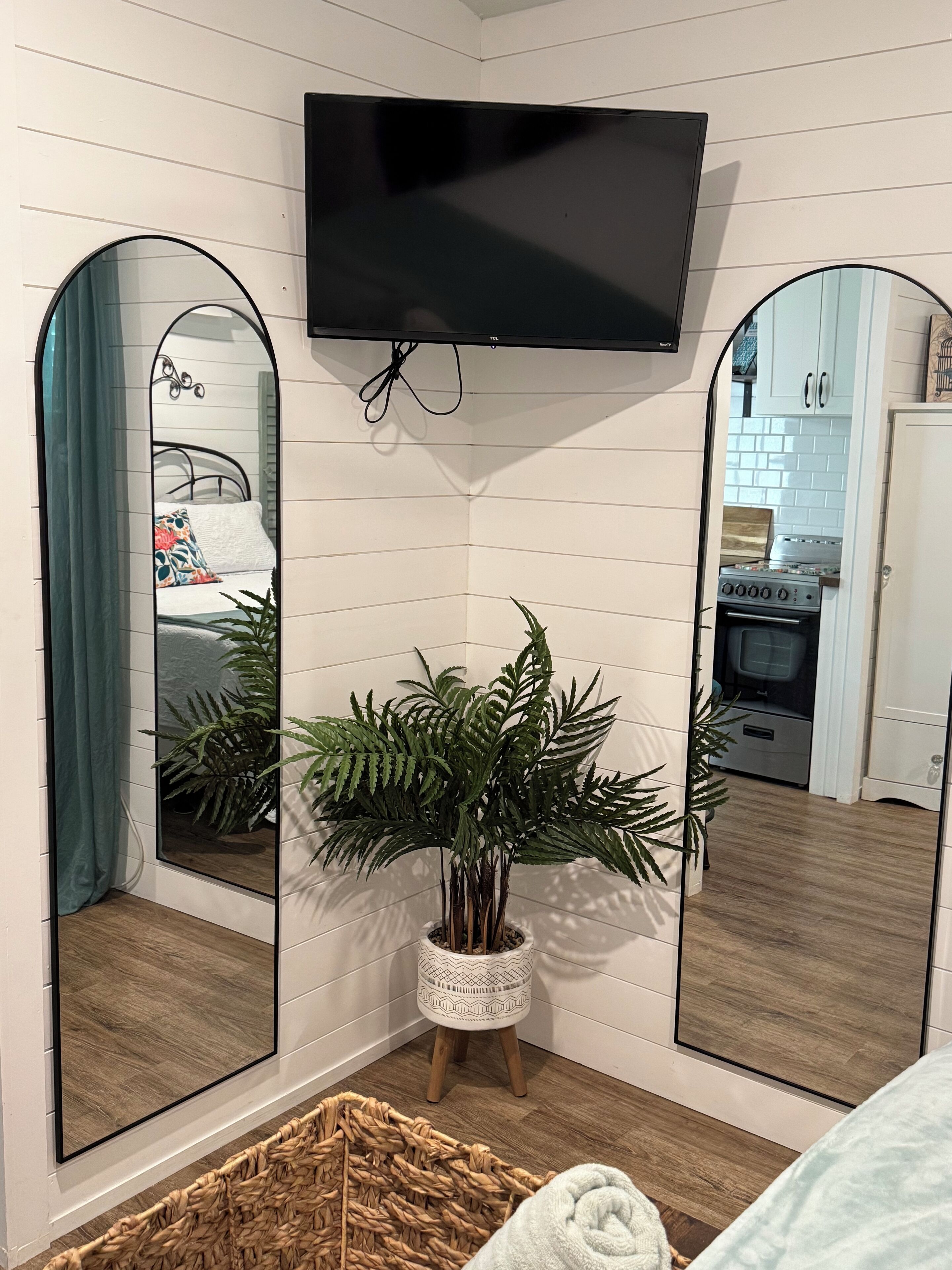 Een kamer met een grote spiegel, een potplant en een aan de muur bevestigde televisie.