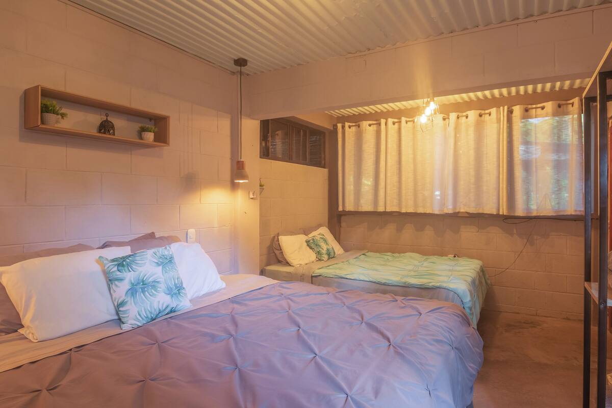 Un dormitorio con dos camas, una ventana con cortinas, una repisa con plantas y una lámpara colgante.