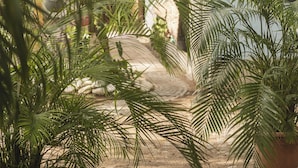 Un jardin tropical abritant une grande variété de plantes et une structure surmontée d’un toit de chaume.