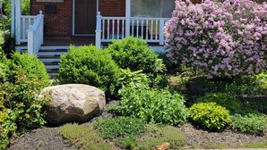 A two-story house with a front porch, a brick facade, and a front yard with various plants and a large rock. - Charming historic home w/ parking, walk to downtown, waterfront, shops & more. (North Bay)
