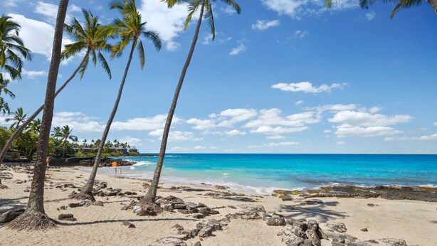 A beach with palm trees and a clear blue sky. - White Sands Village Oceanfront (Kailua-Kona)