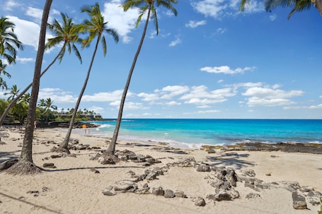 A beach with palm trees and a clear blue sky.