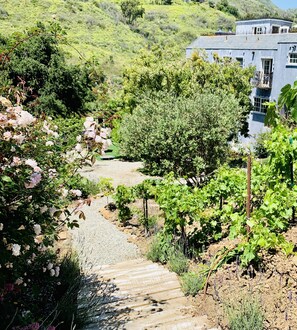 Property grounds - Central Vineyard Heated Pool Hot Tub BBQ Gazebos and Swings (Pet+Child Friendly) (Malibu)