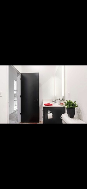 Bathroom features a sleek cabinet, white countertop, and a potted plant.