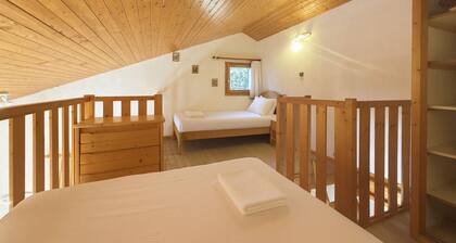 Les AsphodĂšles 18 Ă Mottaret