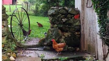 Áreas de la propiedad