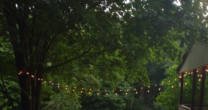 Secluded Wilderness & Spa On Historic 2k Acre Wild Life Area