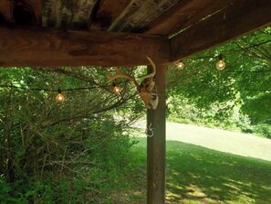 Property grounds - Secluded Wilderness & Spa On Historic 2k Acre Wild Life Area (Chester)