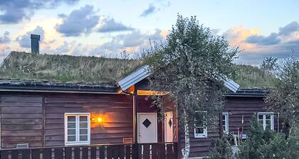 4 bedroom cozy home in Straumgjerde