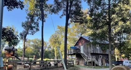 The Goat Loft - âThe best stay in the region!â