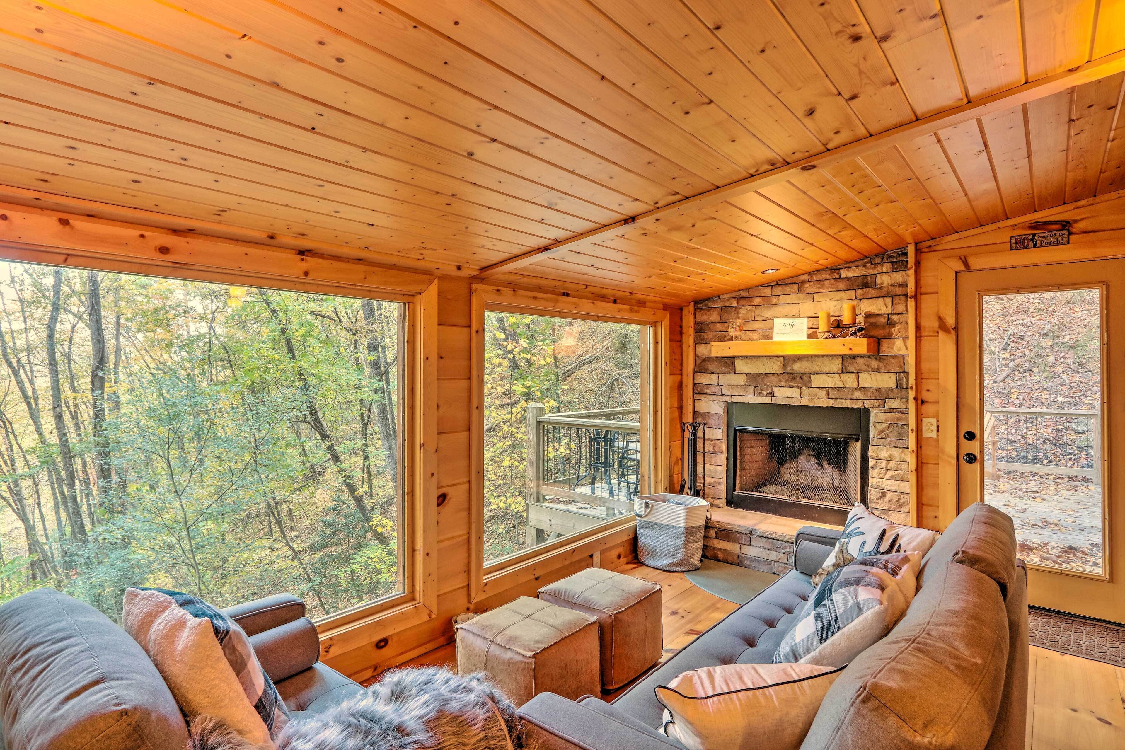 TV, fireplace, books, music library