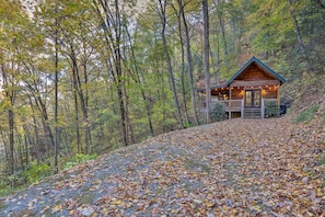Exterior - Fireplace & Foliage: Quaint Blue Ridge Cabin! (Blue Ridge)