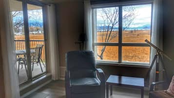 Smart TV, chimenea, libros y monitor de computadora