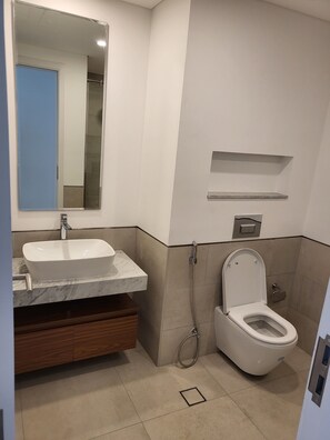 Ducha, secador de pelo, bidé y toallas