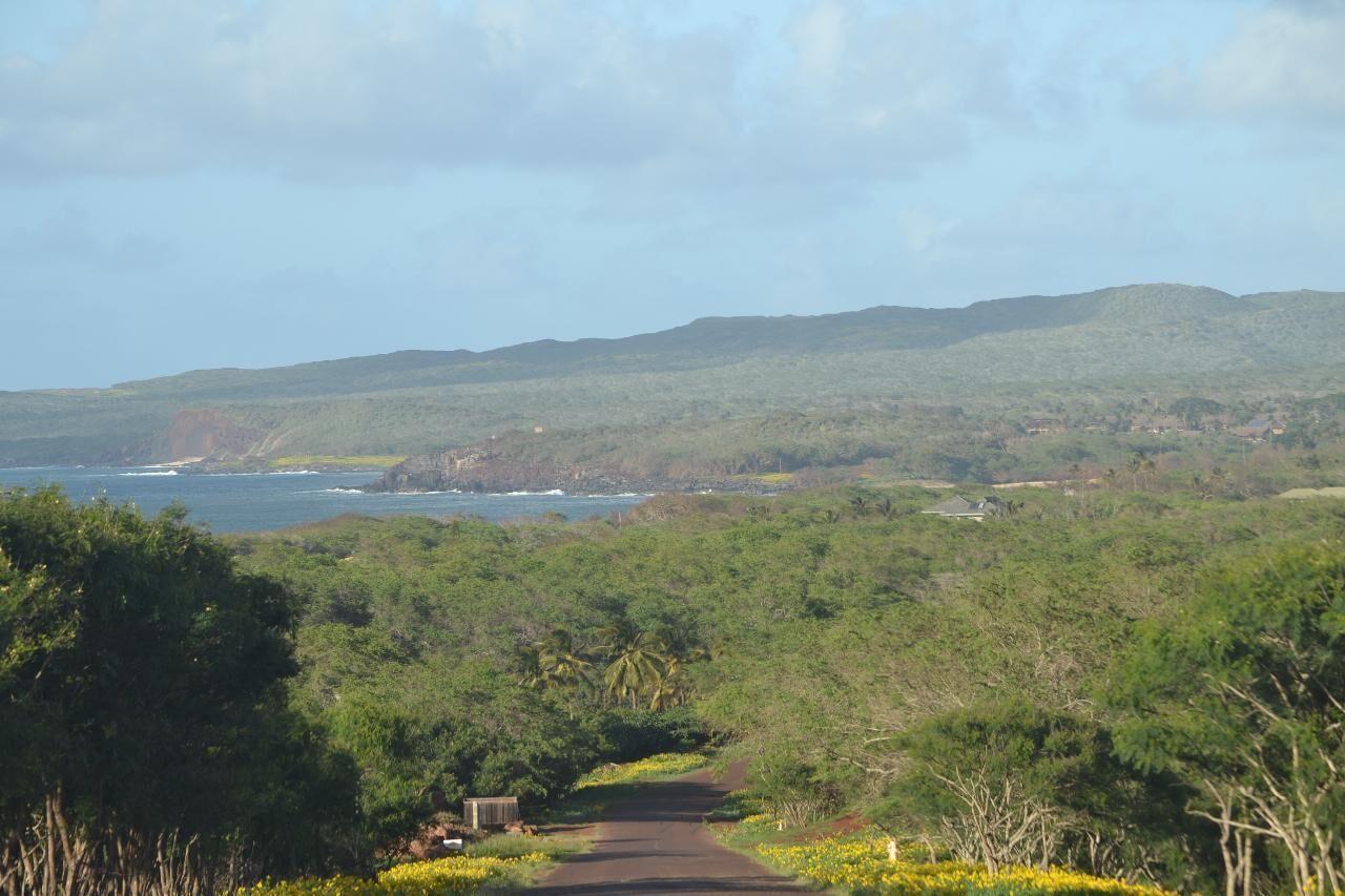 A road leading through a lush green landscape with hills in the background and a body of water to the left.