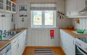 Kühlschrank, Ofen, Herdplatte, Geschirrspüler