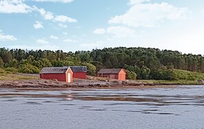 Eksteriør