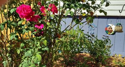 Blueberry Dreamer - Comfy Clean Sweet Retreat WiFi