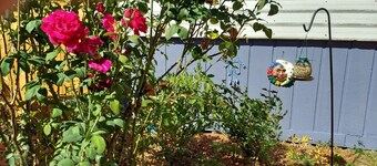 Blueberry Dreamer - Comfy Clean Sweet Retreat WiFi