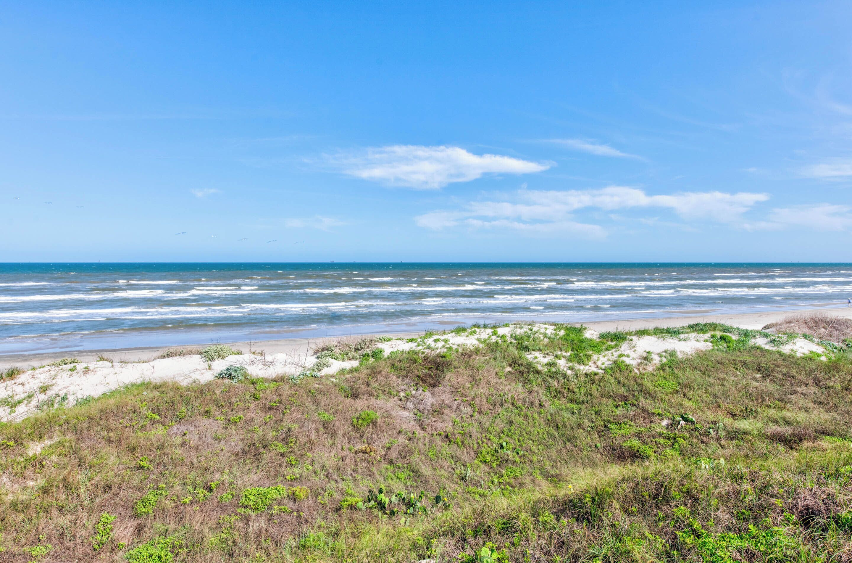 A beach with sand dunes and sparse vegetation.