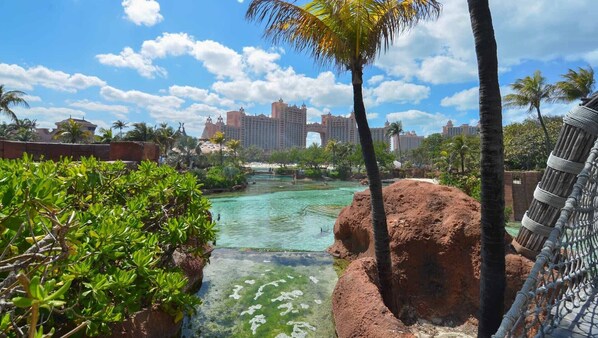 Un complexe hôtelier tropical doté d’une piscine à eau cristalline, de palmiers et offrant une vue sur les gratte-ciel en arrière-plan.