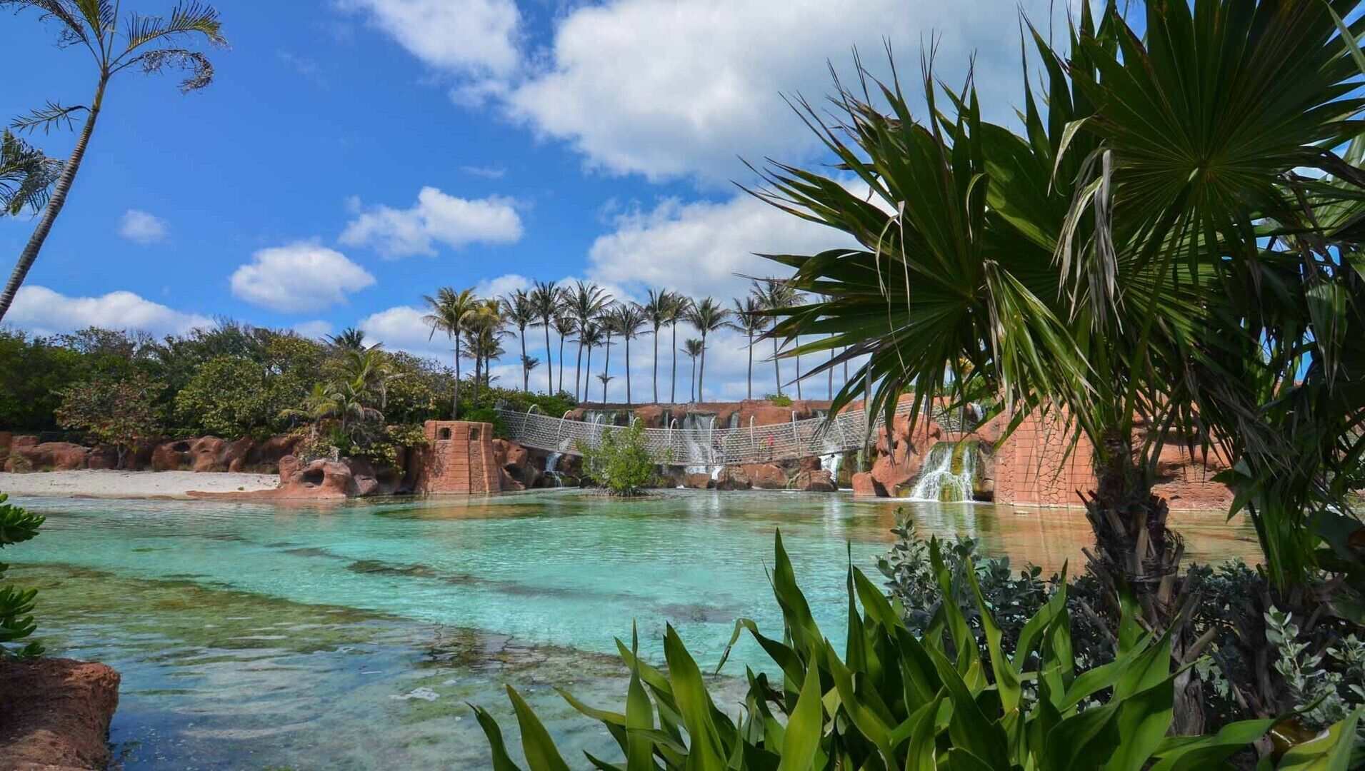Un complexe hôtelier tropical doté d’une piscine à eau cristalline, de palmiers et d’une cascade.