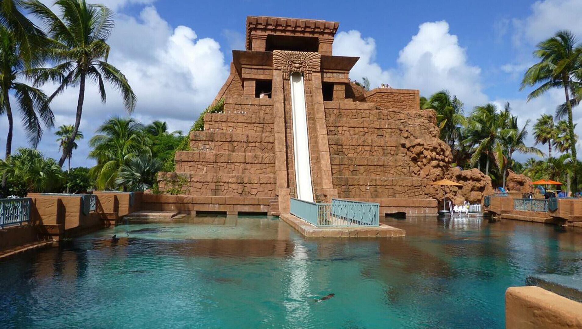 Una gran estructura de tobogán en un área de piscina con palmeras y agua azul cristalina.