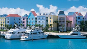 Stunning marina views with yachts and palm trees.