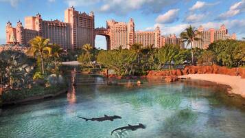 A large hotel complex with a central water feature and two sharks swimming.