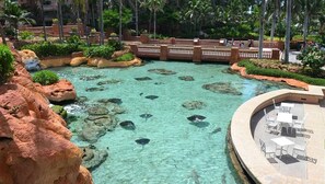 Pool - 2 Bedroom Lock-out - Harborside Resort at Atlantis - Full Resort Access (Paradise Island)