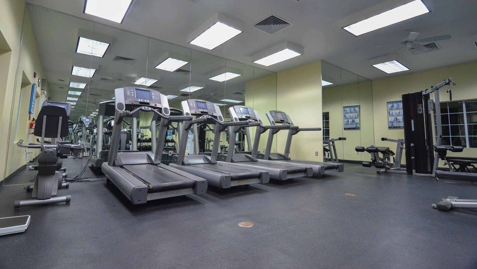 Un gimnasio con cintas de correr, máquinas de pesas y espejos en las paredes.
