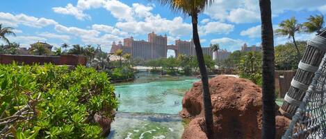 A tropical resort with a clear pool, palm trees, and a view of high-rise buildings in the background.