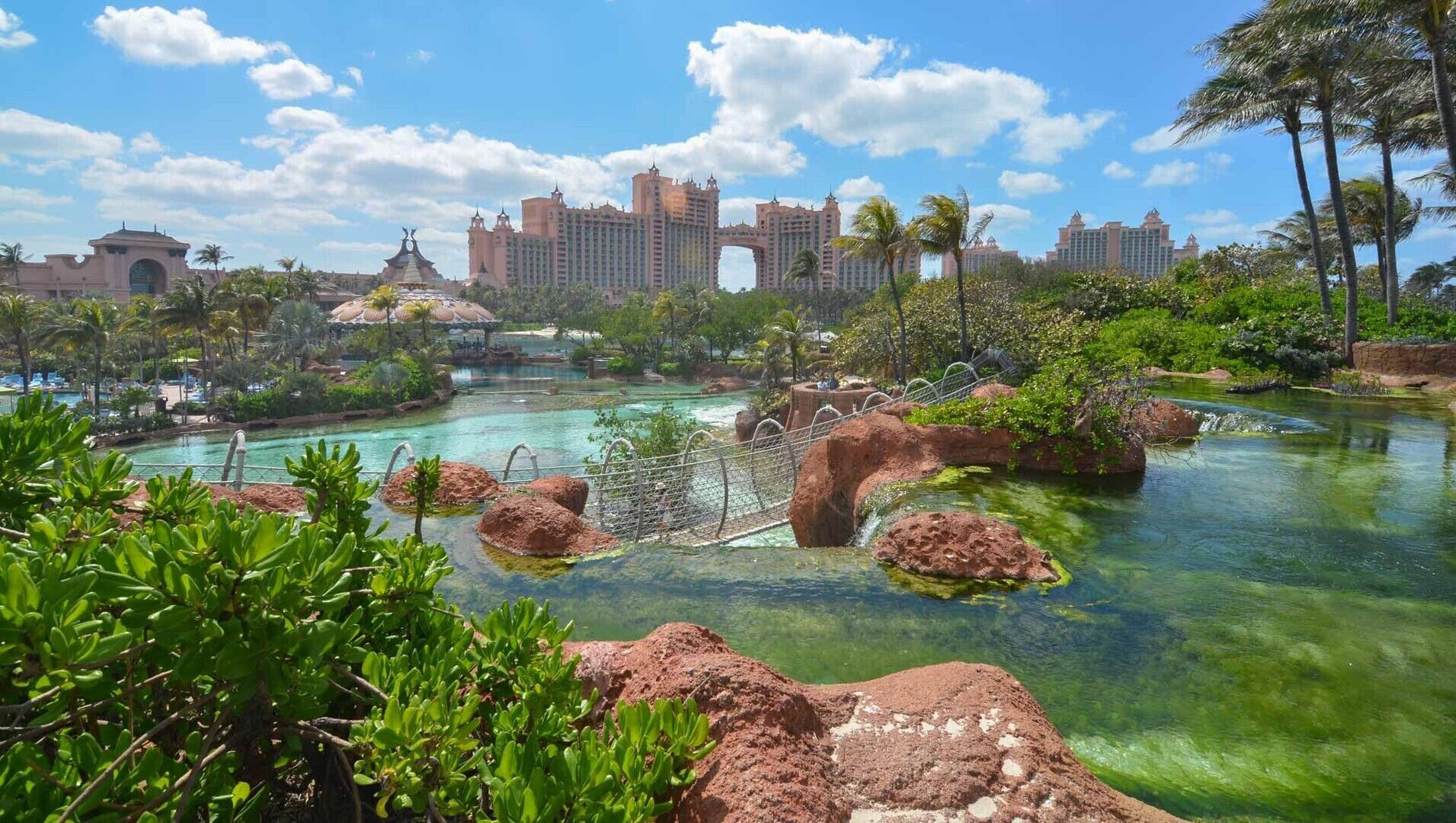 A resort with a clear pool, palm trees, and a large building in the background.