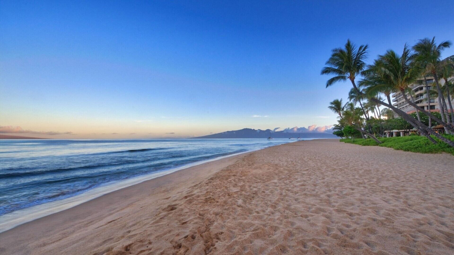 Une plage avec un ciel dégagé, des palmiers et une chaîne de montagnes à l’horizon.