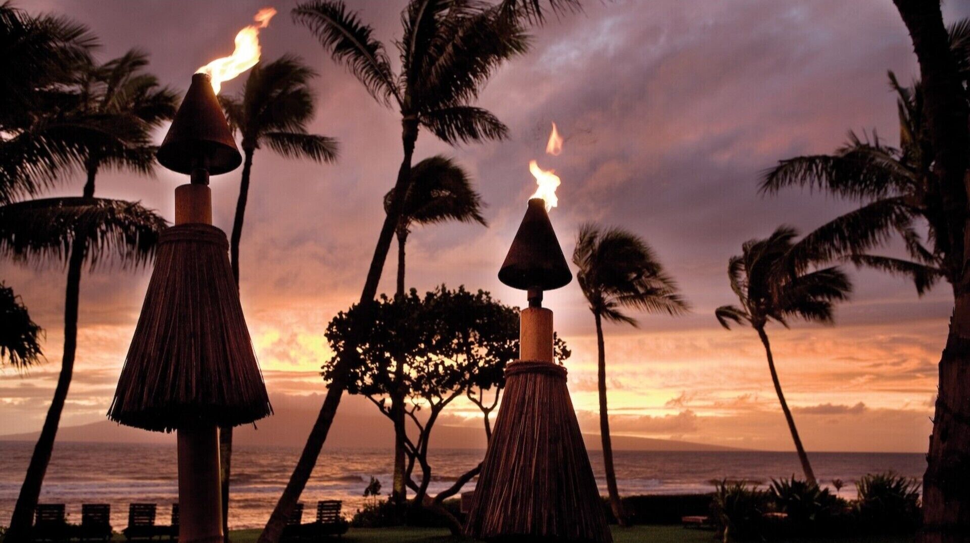 A beach scene with palm trees and tiki torches.
