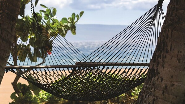 A hammock tied between trees overlooking a beach.
