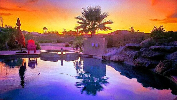 A swimming pool with a palm tree and a chair in the background.