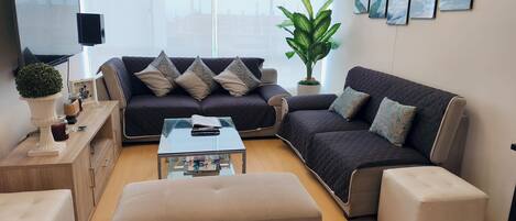 Smart-tv, Netflix, een dvd-speler en streamingdiensten