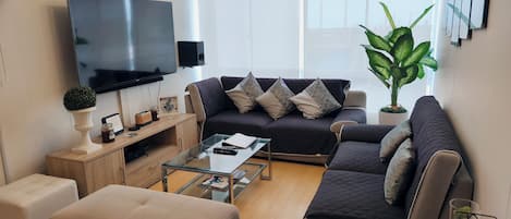 智能電視、Netflix、DVD 播放機、串流服務