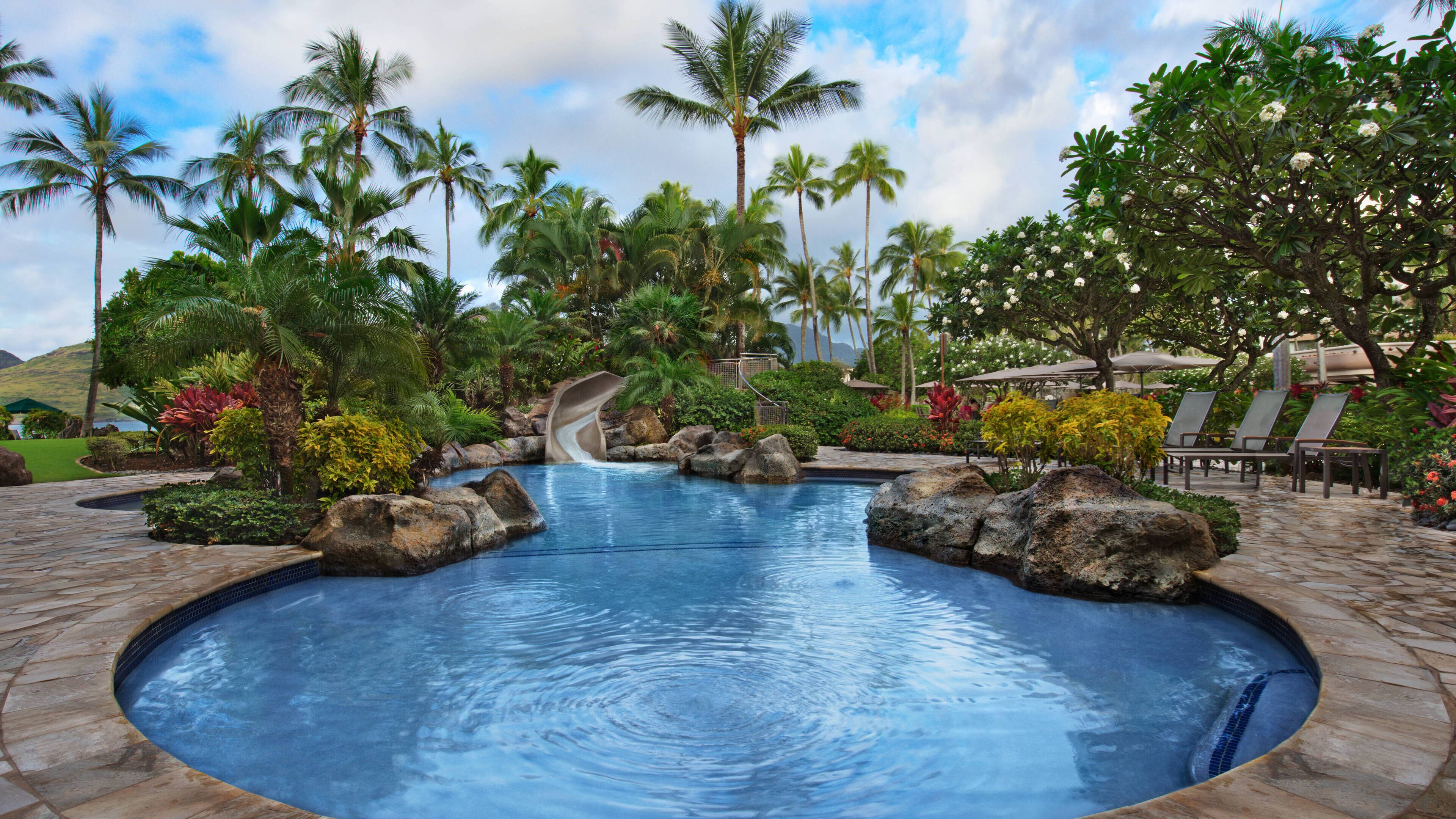 Une piscine avec un toboggan, entourée de palmiers et de plantes tropicales.