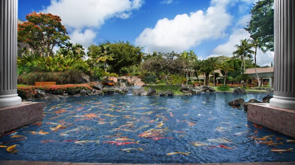 A koi pond with a waterfall, surrounded by tropical vegetation and a clear blue sky.