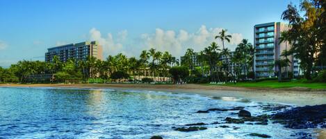 A beachfront hotel with multiple floors, palm trees, and a sandy beach.