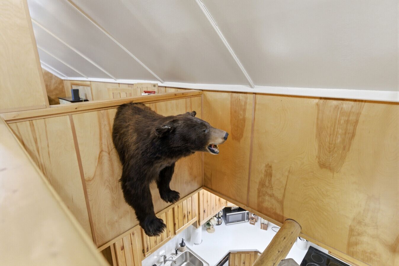 Un oso montado en una pared de madera, en una habitación con cocina abajo.