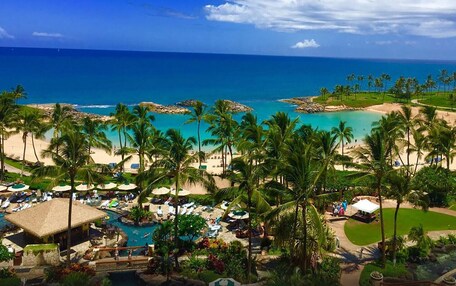 A resort with a pool area, palm trees, and a beach.