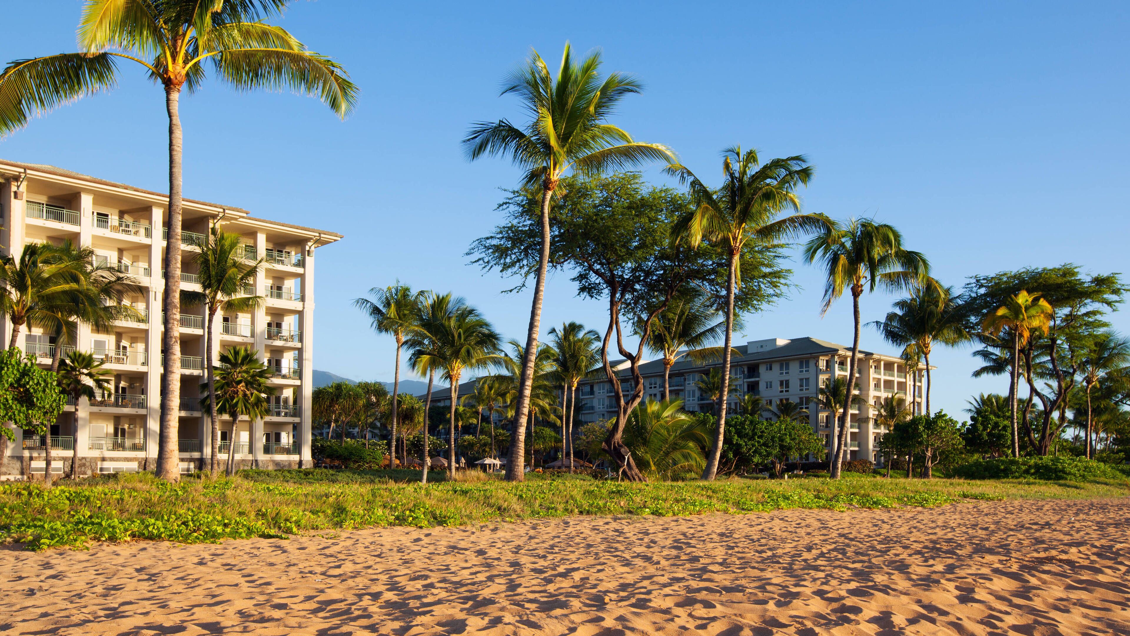 Un hotel frente a la playa con varios pisos, palmeras y una playa de arena.